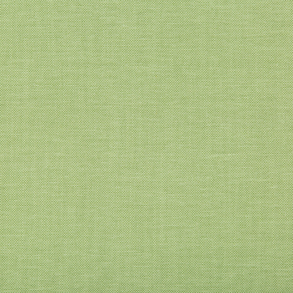 Oxfordian Leaf by Kravet Basics Fabric Kravet Basics Fabric Oxfordian LeafFabric BERMUDA COTTON - 77%;POLYESTER - 23% India </p><p>Repeat: H: , V: 54 - Fabric Carolina -