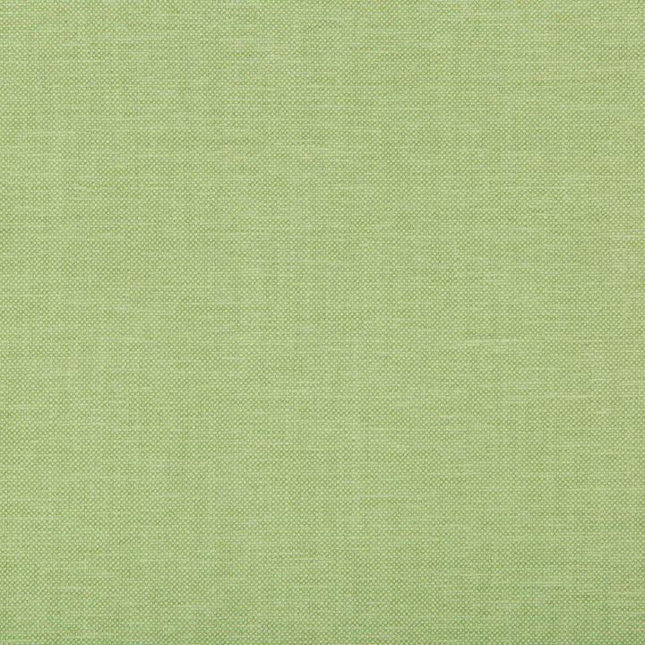 Oxfordian Leaf by Kravet Basics Designer Fabric BERMUDA COTTON - 77%;POLYESTER - 23% India MEDIUM Horizontal: - and Vertical: - 54 - Swanky Fabrics -
