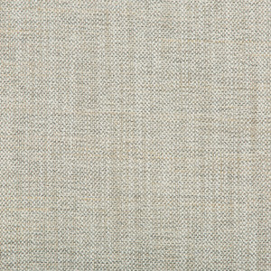 Tonquin Cloud by Kravet Couture Designer Fabric