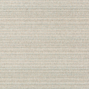 Halau Dune by Kravet Couture Designer Fabric