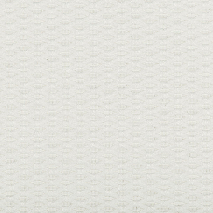 35583-101 by Kravet Design Designer Fabric COTTON - 52%;POLYESTER - 48% United States HEAVY Horizontal: and Vertical: 56.5 - Swanky Fabrics -