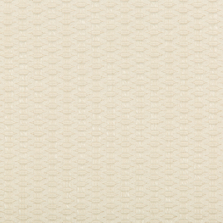 35583-1 by Kravet Design Designer Fabric COTTON - 52%;POLYESTER - 48% United States HEAVY Horizontal: 0 and Vertical: 0 56.5 - Swanky Fabrics -