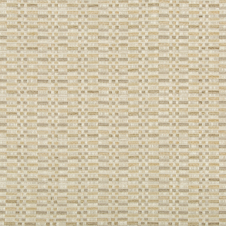 35585-16 by Kravet Design Designer Fabric POLYESTER - 56%;COTTON - 25%;RAYON - 19% United States HEAVY Horizontal: 3.5 and Vertical: 2.5 57.5 - Swanky Fabrics -