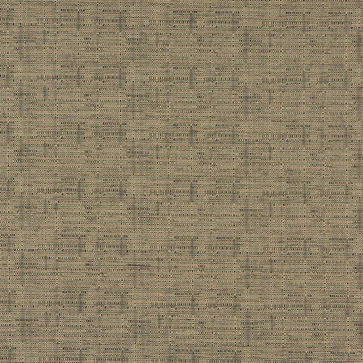 3562 Rosemary by Charlotte Designer Fabric Decorative Durables XII 67% Olefin, 33% Polyester Made In USA Exceeds 150,000 Wyzenbeek Rubs (Heavy Duty) No Repeat 54 Inches - Swanky Fabrics -