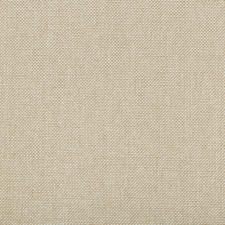 Williams Coconut by Kravet Contract Designer Fabric VALUE KRAVETARMOR POLYESTER - 60%;OLEFIN - 40% United States HEAVY Horizontal: 0 and Vertical: 0 56 - Swanky Fabrics -