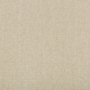 Williams Coconut by Kravet Contract Designer Fabric
