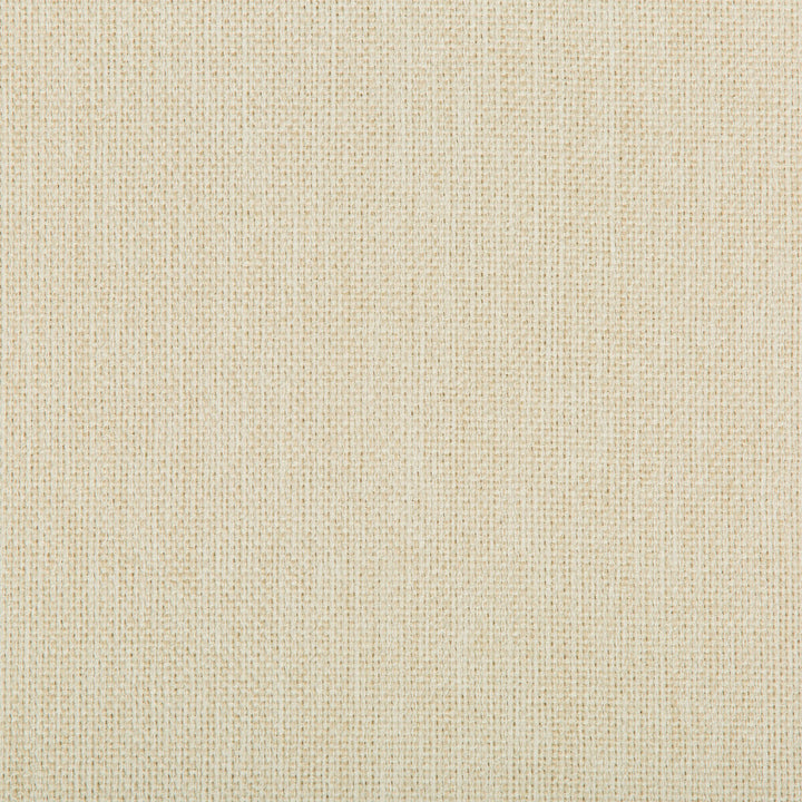 Williams Sea Salt by Kravet Contract Designer Fabric VALUE KRAVETARMOR POLYESTER - 60%;OLEFIN - 40% United States HEAVY Horizontal: 0 and Vertical: 0 56 - Swanky Fabrics -