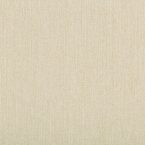 Williams Sea Salt by Kravet Contract Designer Fabric