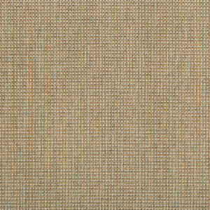 Burr Flax by Kravet Contract Designer Fabric