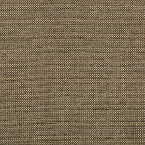 Burr Pecan by Kravet Contract Designer Fabric
