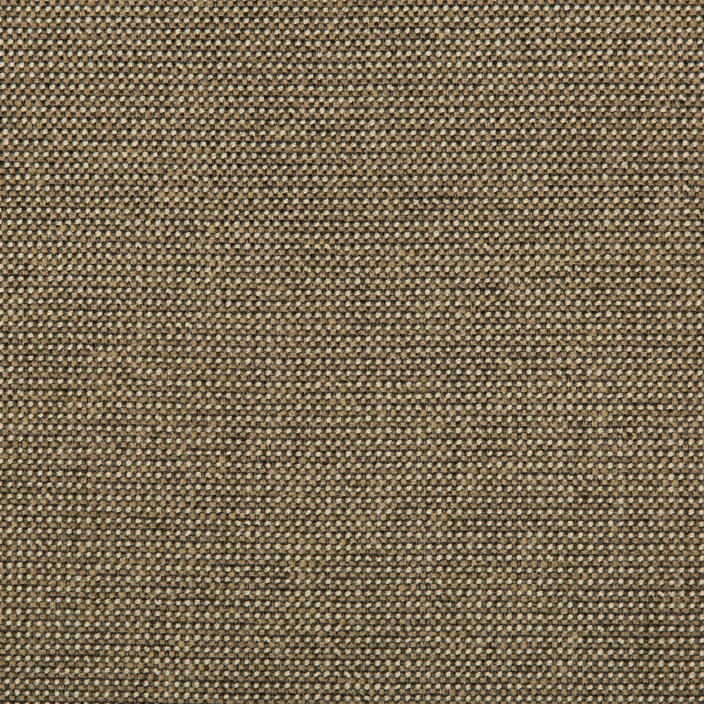Burr Pecan by Kravet Contract Designer Fabric VALUE KRAVETARMOR POLYESTER - 56%;OLEFIN - 44% United States HEAVY Horizontal: 0 and Vertical: 0 56 - Swanky Fabrics -