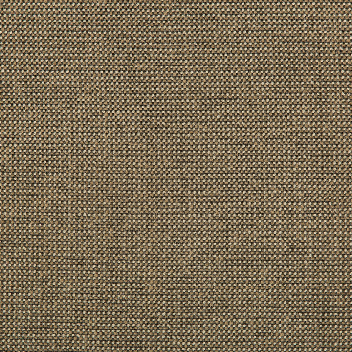 Burr Pecan by Kravet Contract Designer Fabric VALUE KRAVETARMOR POLYESTER - 56%;OLEFIN - 44% United States HEAVY Horizontal: 0 and Vertical: 0 56 - Swanky Fabrics -