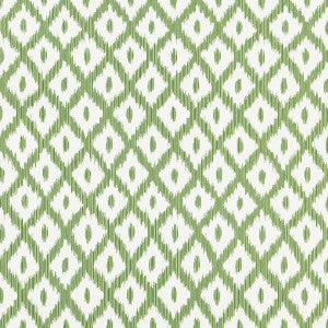 Pitigala Green by Kravet Basics Designer Fabric