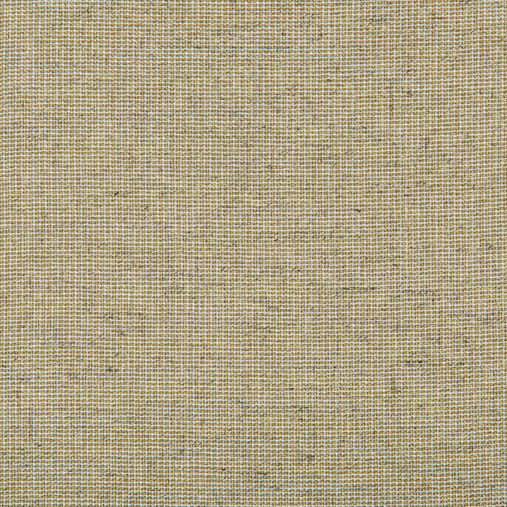 Kravet Basics 35785-340 by Kravet Basics Fabric Kravet Basics Fabric Kravet Basics 35785-340Fabric BAMBOO - 90%;LINEN - 5%;LUREX - 5% India </p><p>Repeat: H: 0, V: 0 54 - Fabric Carolina -