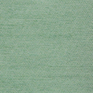 Basslet Aloe by Kravet Design Designer Fabric