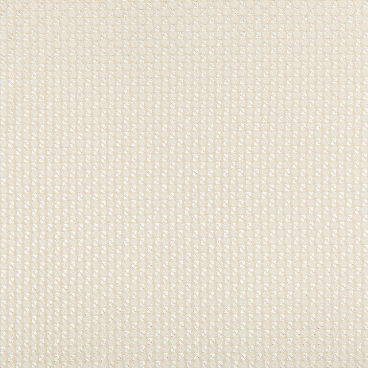 Fortesa Ivory by Kravet Couture Designer Fabric WINDSOR SMITH NAILA SPUN RAYON - 51%;FILAMENT RAYON - 39%;POLYESTER - 10% United States MEDIUM Horizontal: - and Vertical: - 54 - Swanky Fabrics -