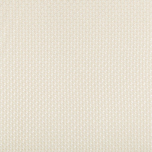 Fortesa Ivory by Kravet Couture Designer Fabric