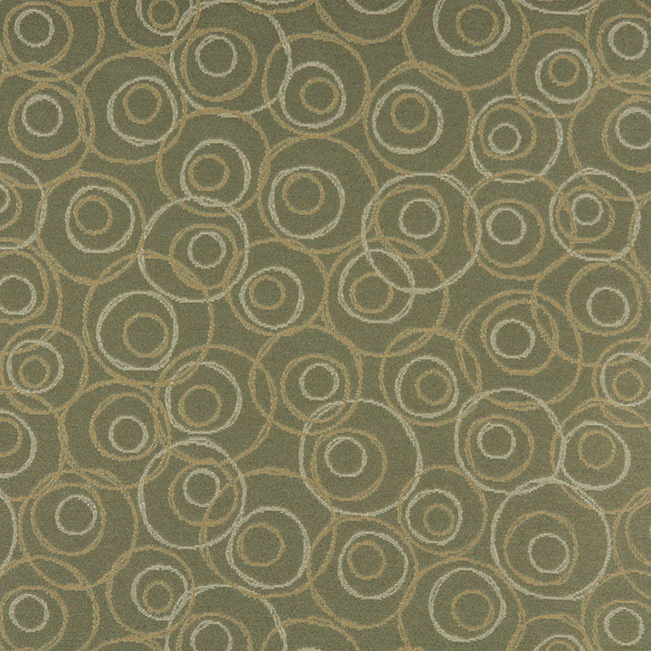 3584 Aloe by Charlotte Designer Fabric Decorative Durables XII 100% Woven Polyester Made In USA Exceeds 150,000 Wyzenbeek Rubs (Heavy Duty) Horizontal: 14" x Vertical: 14" 54 Inches - Swanky Fabrics -