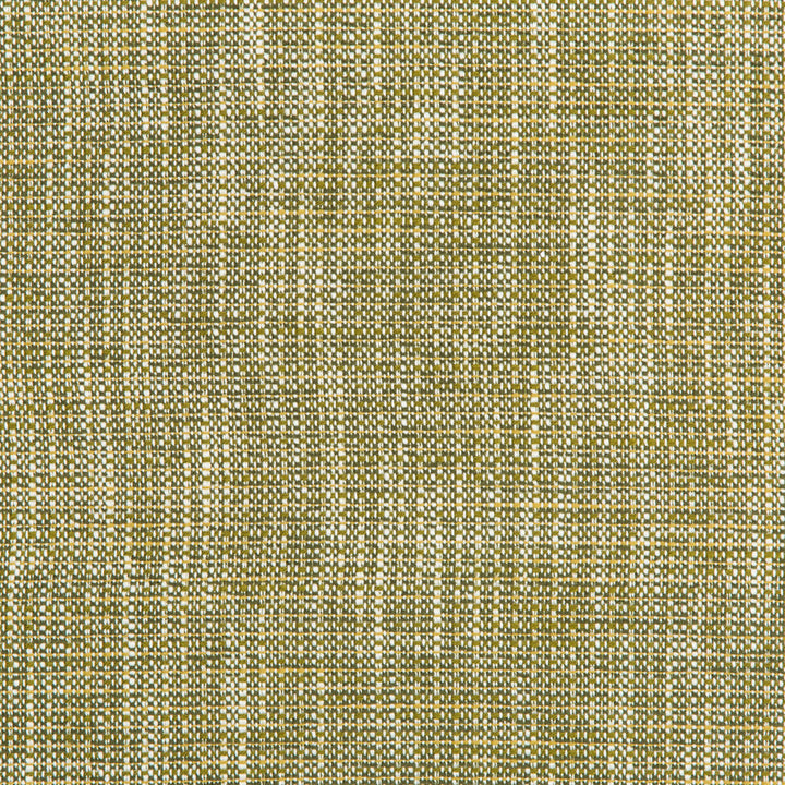 River Park Meadow by Kravet Contract Designer Fabric GIS CRYPTON POLYESTER - 94%;RECYCLED POLYESTER - 6% United States HEAVY Horizontal: and Vertical: 55 - Swanky Fabrics -