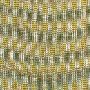 River Park Meadow by Kravet Contract Designer Fabric