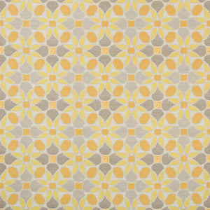 Tiepolo Citrus by Kravet Contract Designer Fabric