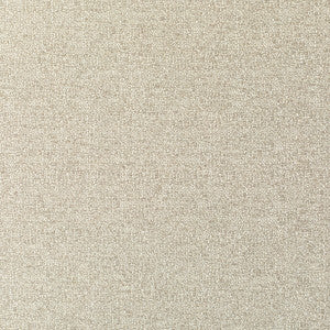 Truth Muslin by Kravet Couture Designer Fabric