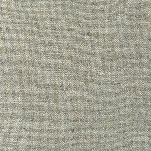 Pasaro Natural by Kravet Couture Designer Fabric