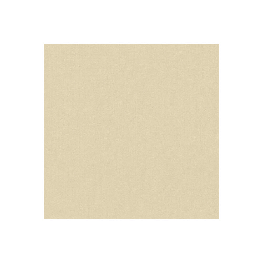 35916-1 by Kravet Basics Designer Fabric POLYESTER FR - 100% India HEAVY Horizontal: 0 and Vertical: 0 54 - Swanky Fabrics -