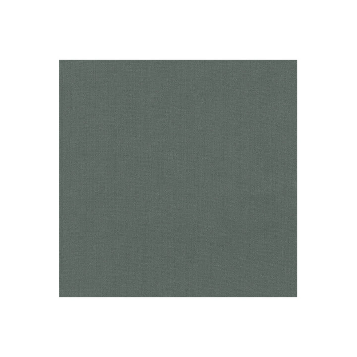 35916-21 by Kravet Basics Designer Fabric POLYESTER FR - 100% India HEAVY Horizontal: 0 and Vertical: 0 54 - Swanky Fabrics -