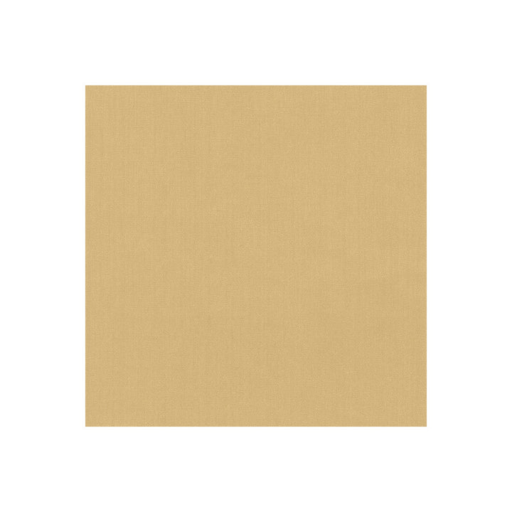 35916-44 by Kravet Basics Designer Fabric POLYESTER FR - 100% India HEAVY Horizontal: 0 and Vertical: 0 54 - Swanky Fabrics -
