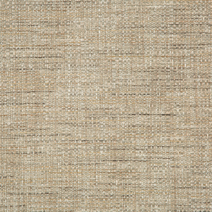 35929-116 by Kravet Smart Designer Fabric PERFORMANCE KRAVETARMOR POLYESTER - 72%;COTTON - 28% India HEAVY Horizontal: 0 and Vertical: 0 54 - Swanky Fabrics -