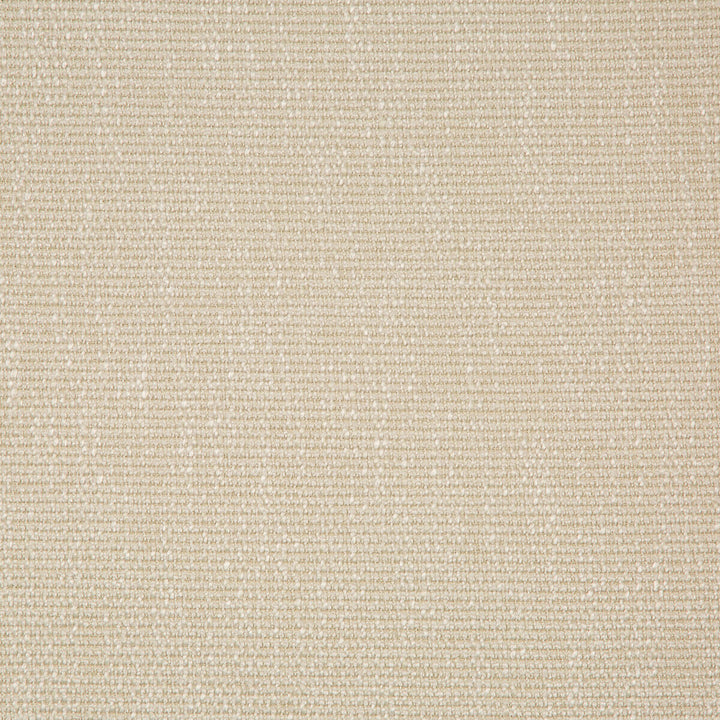 35943-116 by Kravet Smart Designer Fabric PERFORMANCE KRAVETARMOR POLYESTER - 45%;VISCOSE - 37%;COTTON - 18% India HEAVY Horizontal: 0 and Vertical: 0 54 - Swanky Fabrics -