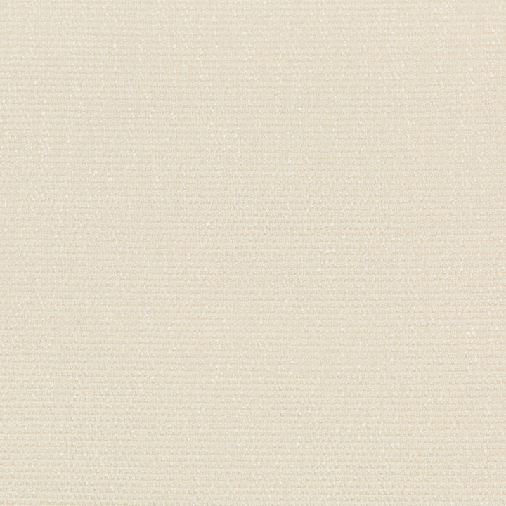 35943-1 by Kravet Smart Designer Fabric PERFORMANCE KRAVETARMOR POLYESTER - 45%;VISCOSE - 37%;COTTON - 18% India HEAVY Horizontal: 0 and Vertical: 0 54 - Swanky Fabrics -