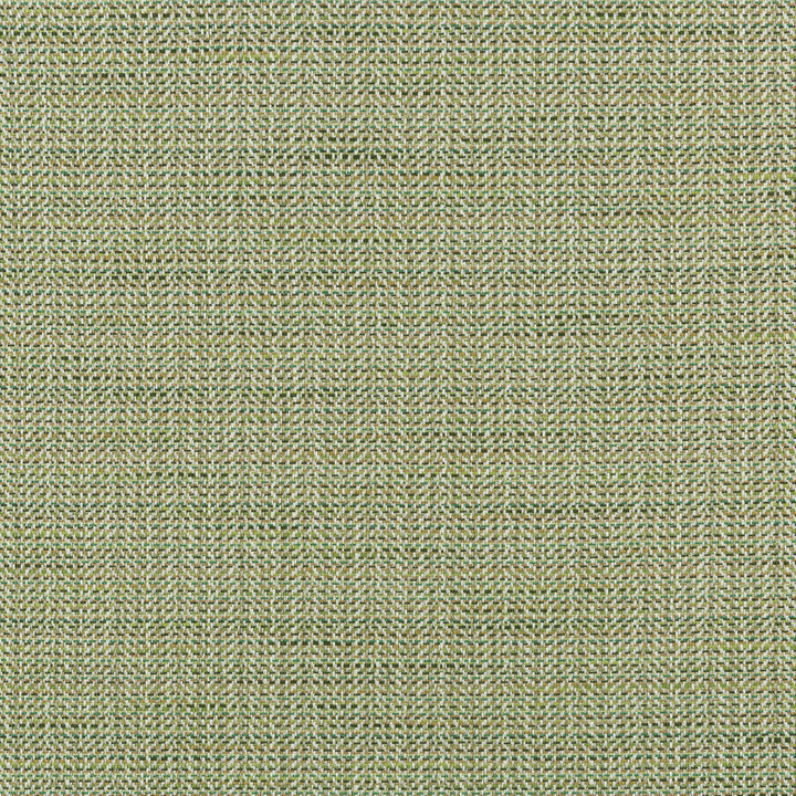 35963-314 by Kravet Smart Designer Fabric PERFORMANCE CRYPTON HOME COTTON - 50%;POLYESTER - 29%;RAYON - 21% United States HEAVY Horizontal: 2.281 and Vertical: 2 54.5 - Swanky Fabrics -