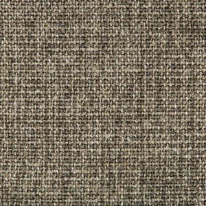 Cyncy Shale by Kravet Design Designer Fabric