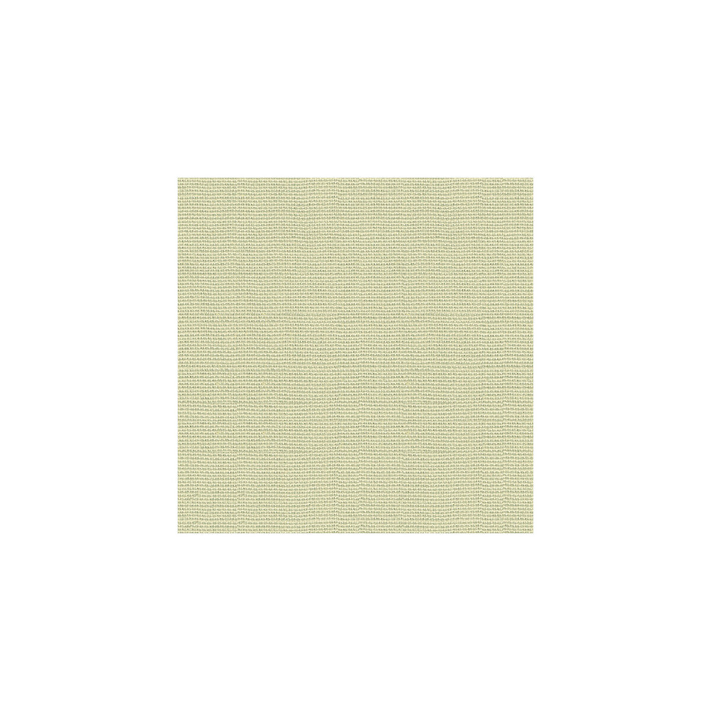 Crissie Linen by Kravet Design Designer Fabric BARRY LANTZ CANVAS TO CLOTH LINEN - 100% Brazil LIGHT Horizontal: 0 and Vertical: 0 54 - Swanky Fabrics -