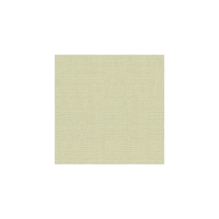 Crissie Linen by Kravet Design Designer Fabric BARRY LANTZ CANVAS TO CLOTH LINEN - 100% Brazil LIGHT Horizontal: 0 and Vertical: 0 54 - Swanky Fabrics -