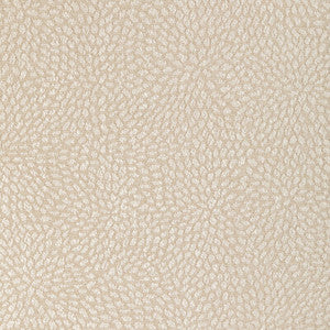35991-16 by Kravet Designer Fabric