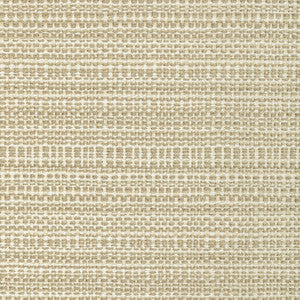 35993-16 by Kravet Designer Fabric