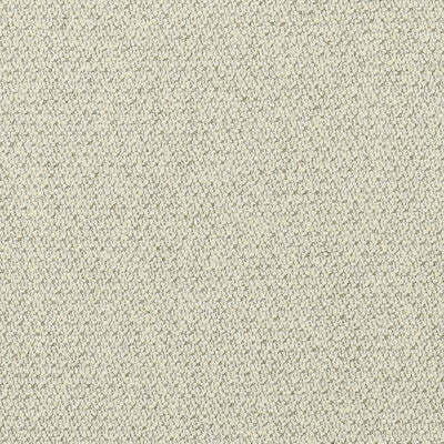 36051.116.0 by Kravet Fabric Kravet Fabric 36051.116.0Fabric LUXURY TEXTURES II COTTON - 38%;VISCOSE - 34%;POLYESTER - 16%;LINEN - 12% Italy </p><p>Repeat: H: 0, V: 0 55.12 - Fabric Carolina -