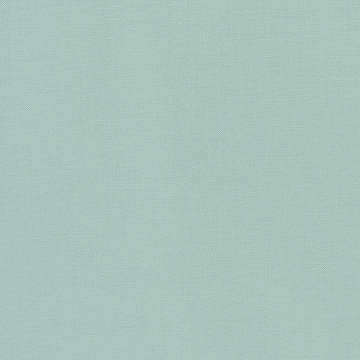 36055-135 by Kravet Basics Designer Fabric L'INDIENNE COLLECTION COTTON - 100% India HEAVY Horizontal: and Vertical: 54 - Swanky Fabrics -