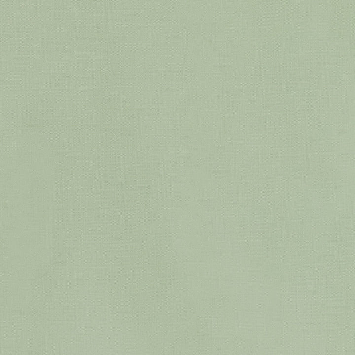 36055-30 by Kravet Basics Designer Fabric L'INDIENNE COLLECTION COTTON - 100% India HEAVY Horizontal: and Vertical: 54 - Swanky Fabrics -