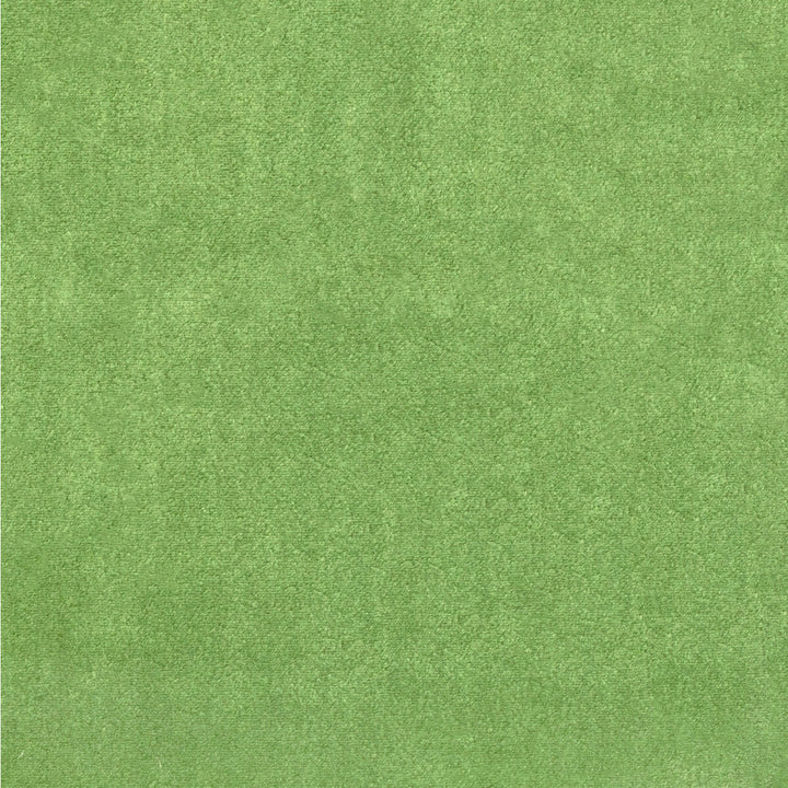 Plushilla Emerald by Kravet Basics Fabric Kravet Basics Fabric Plushilla EmeraldFabric MONTEREY POLYESTER - 100% China </p><p>Repeat: H: 0, V: 0 55.12 - Fabric Carolina -