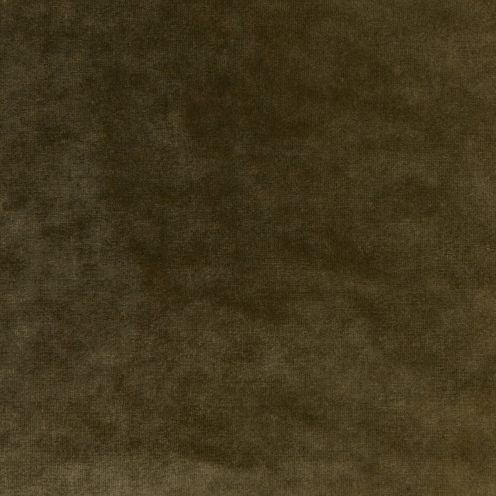 Regal Velvet Olive by Kravet Couture Designer Fabric VISCOSE - 72%;COTTON - 21%;POLYESTER - 7% Italy HEAVY Horizontal: 0 and Vertical: 0 55.12 - Swanky Fabrics -