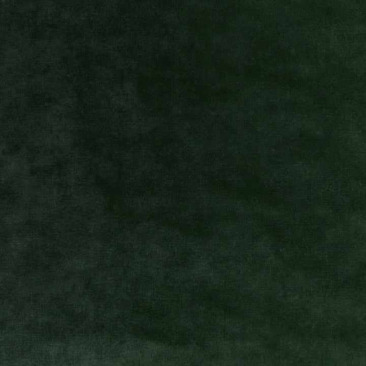 Regal Velvet Sage by Kravet Couture Designer Fabric VISCOSE - 72%;COTTON - 21%;POLYESTER - 7% Italy HEAVY Horizontal: 0 and Vertical: 0 55.12 - Swanky Fabrics -