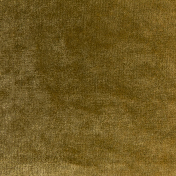 Regal Velvet Ochre by Kravet Couture Designer Fabric VISCOSE - 72%;COTTON - 21%;POLYESTER - 7% Italy HEAVY Horizontal: 0 and Vertical: 0 55.12 - Swanky Fabrics -