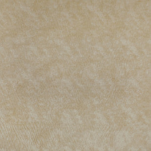 Triumphant Creme by Kravet Couture Designer Fabric