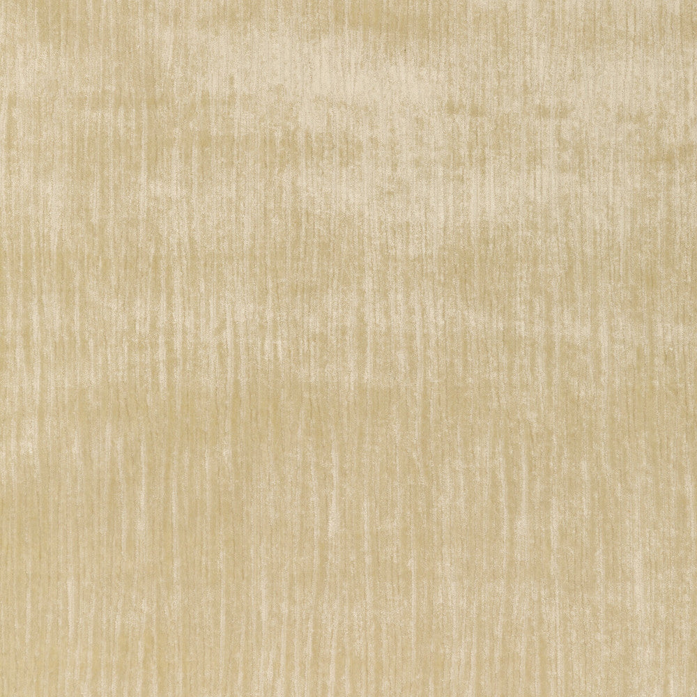 Majesty Velvet Cream by Kravet Couture Fabric Kravet Couture Fabric Majesty Velvet CreamFabric VISCOSE - 67%;COTTON - 33% Italy </p><p>Repeat: H: , V: 55.12 - Fabric Carolina -