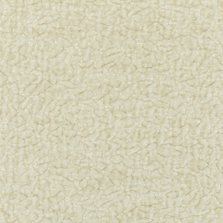 Barton Chenille Latte by Kravet Smart Designer Fabric POLYESTER - 100% India HEAVY Horizontal: 12 and Vertical: 4 54 - Swanky Fabrics -