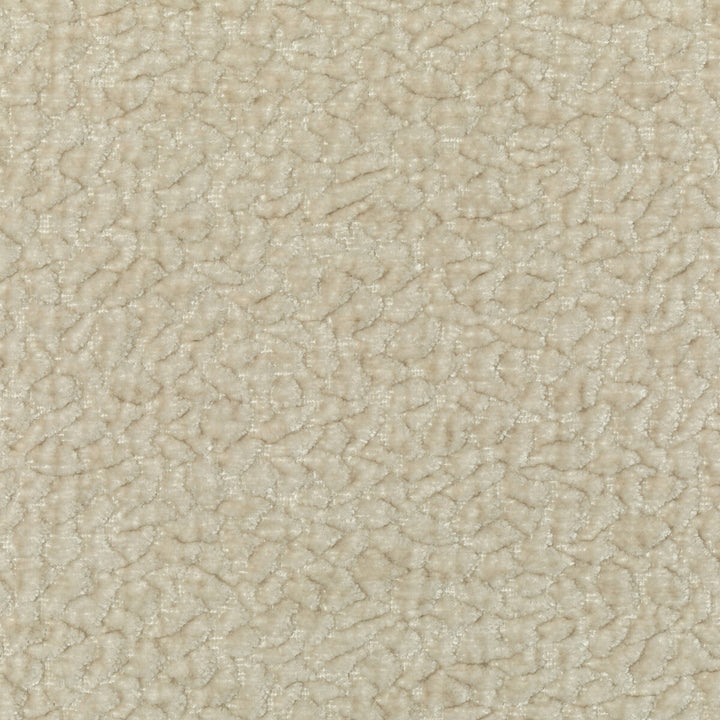 Barton Chenille Sand by Kravet Smart Designer Fabric POLYESTER - 100% India HEAVY Horizontal: 12 and Vertical: 4 54 - Swanky Fabrics -